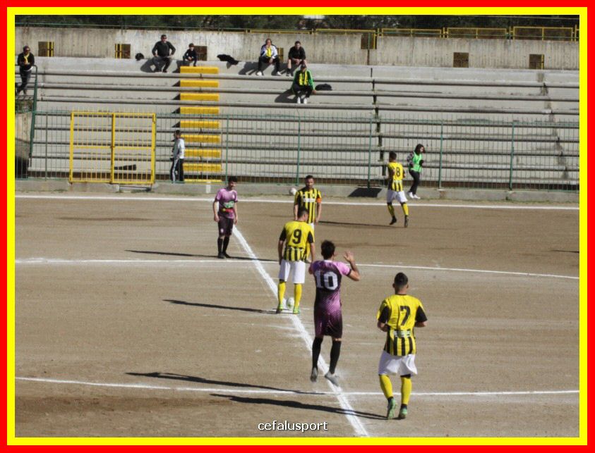 190310 Cephal_Torrenov 044_tn.jpg